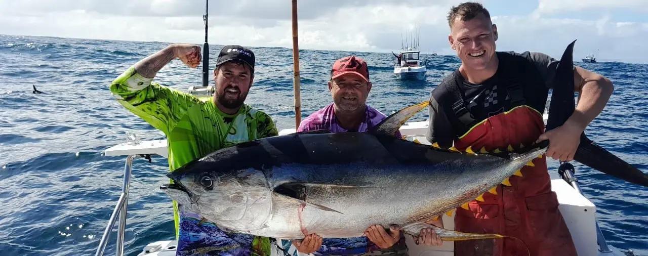 Yellowtail charter fishing